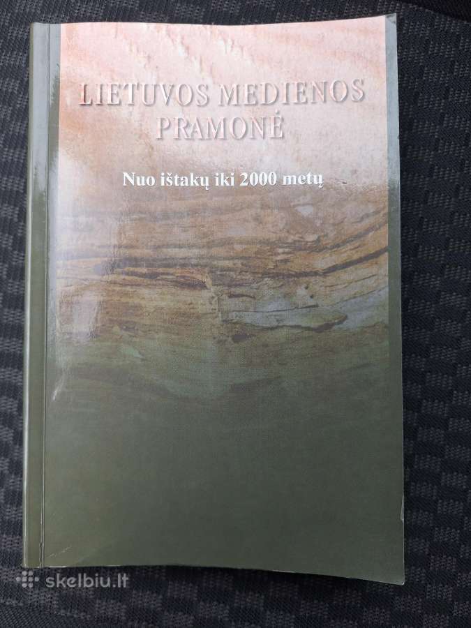 Lietuvos medienos pramonė