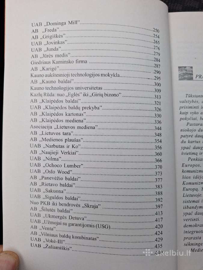 Lietuvos medienos pramonė - nuotraukos Nr. 3