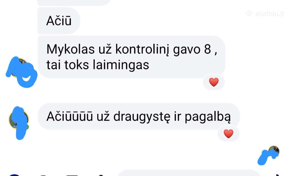 Lietuvių kalbos mokytoja korepetitorė - nuotraukos Nr. 25