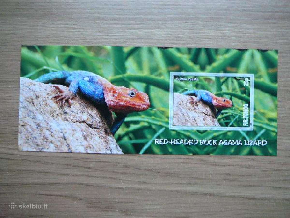 Driezai Reptilijos Tonga 2010 Mnh tn337