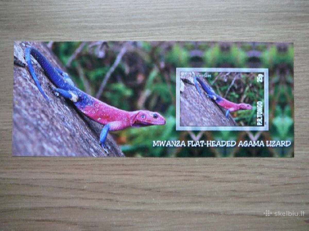 Driezai Reptilijos Tonga 2010 Mnh tn338