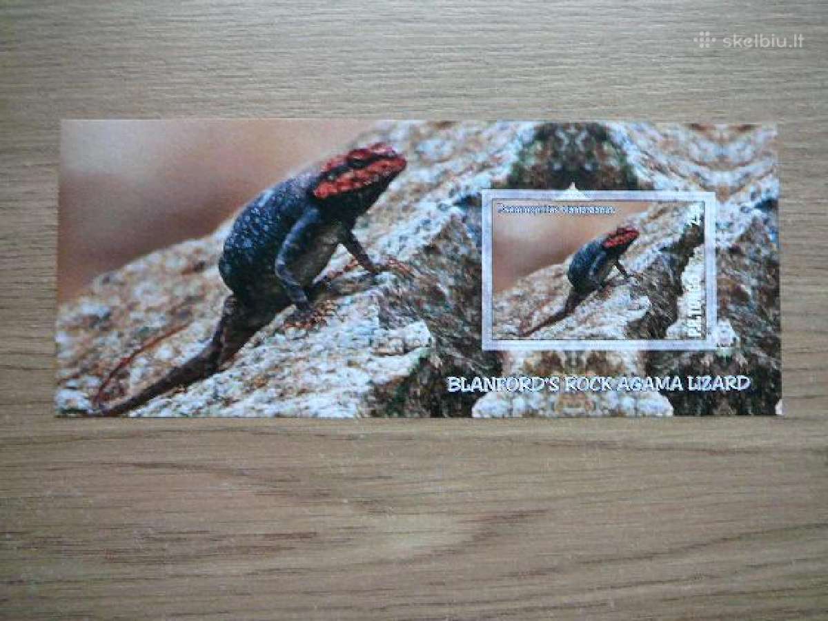 Driezai Reptilijos Tonga 2010 Mnh tn341