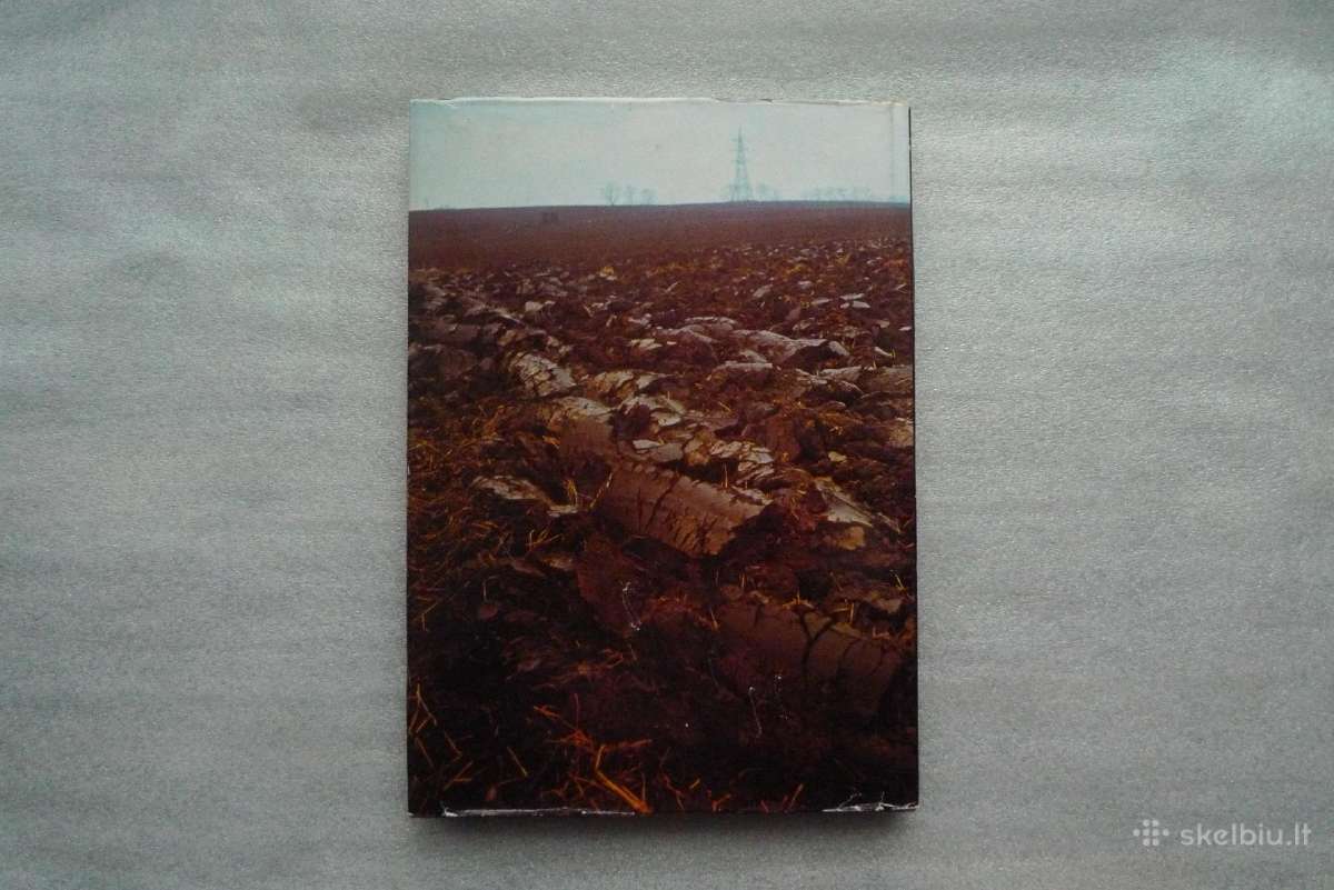 Foto Ir Tapybos Albumai - nuotraukos Nr. 5