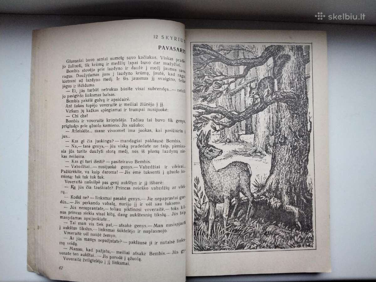 Princas ir elgeta. Bembis - nuotraukos Nr. 16