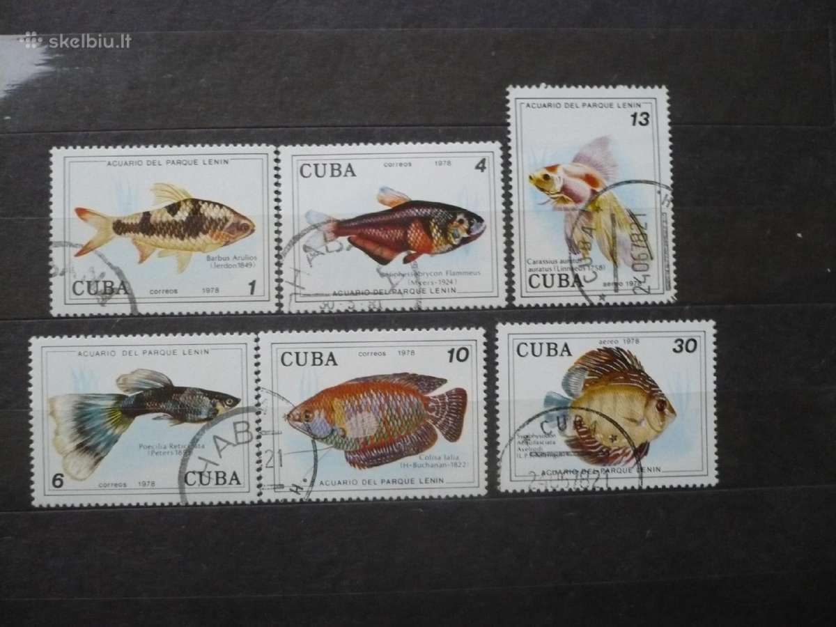 1978 m. Žuvys Lenino parko akvariume, Havanoje
