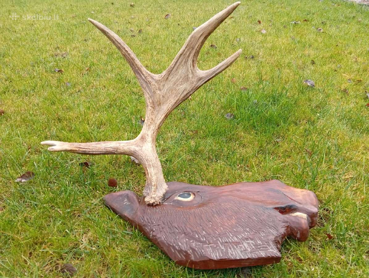Ragai aukštis 50cm plotis 53cm - nuotraukos Nr. 2