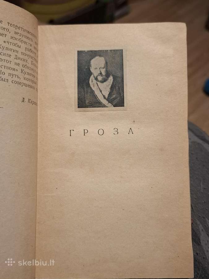 Ostrovskis - nuotraukos Nr. 6