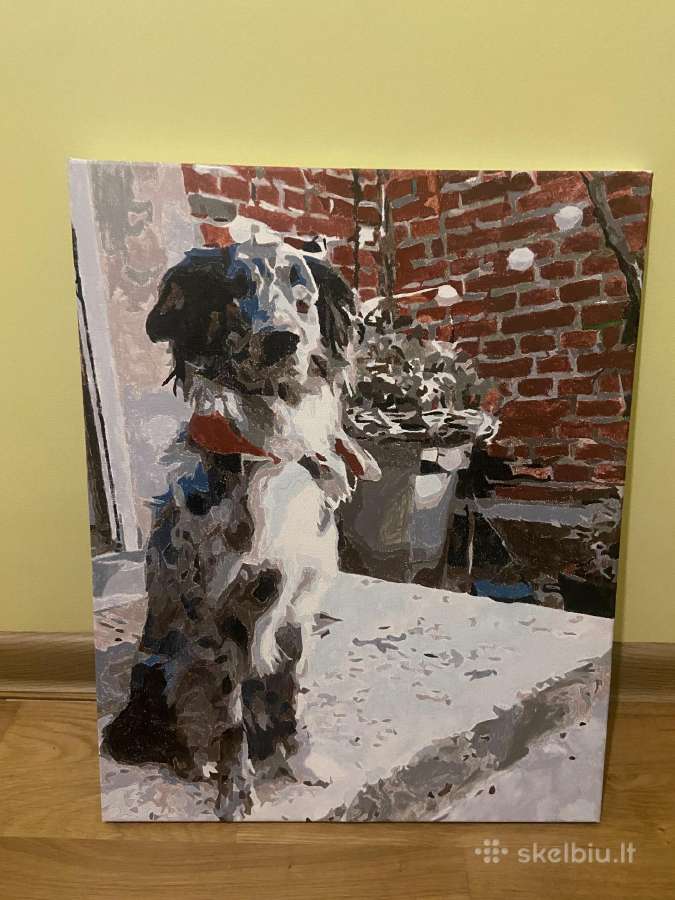 Paveiklas-reprodukcija 40x50 cm Suo