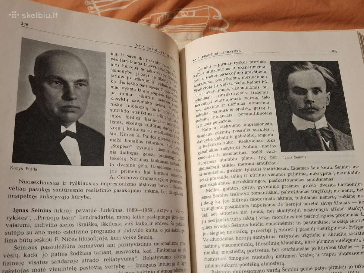 Lietuvių literatūros istorija - nuotraukos Nr. 6