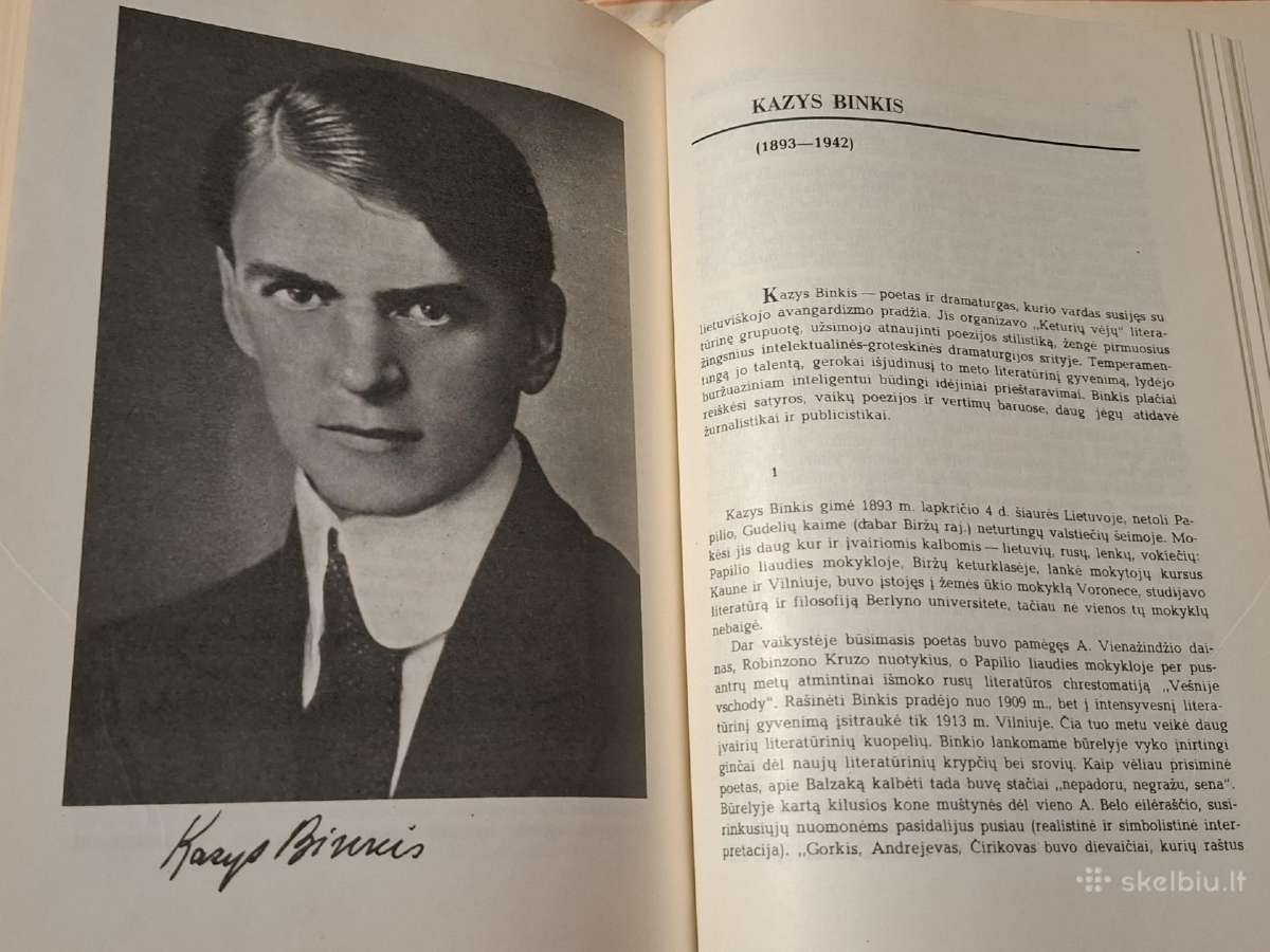 Lietuvių literatūros istorija - nuotraukos Nr. 7