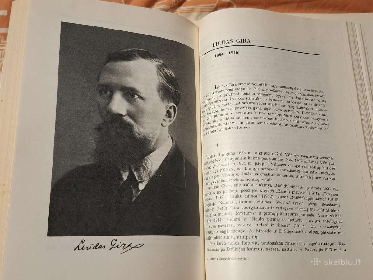 Lietuvių literatūros istorija - nuotraukos Nr. 8