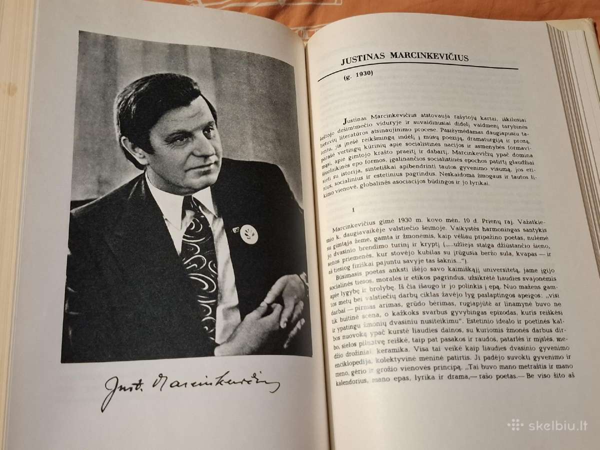 Lietuvių literatūros istorija - nuotraukos Nr. 12