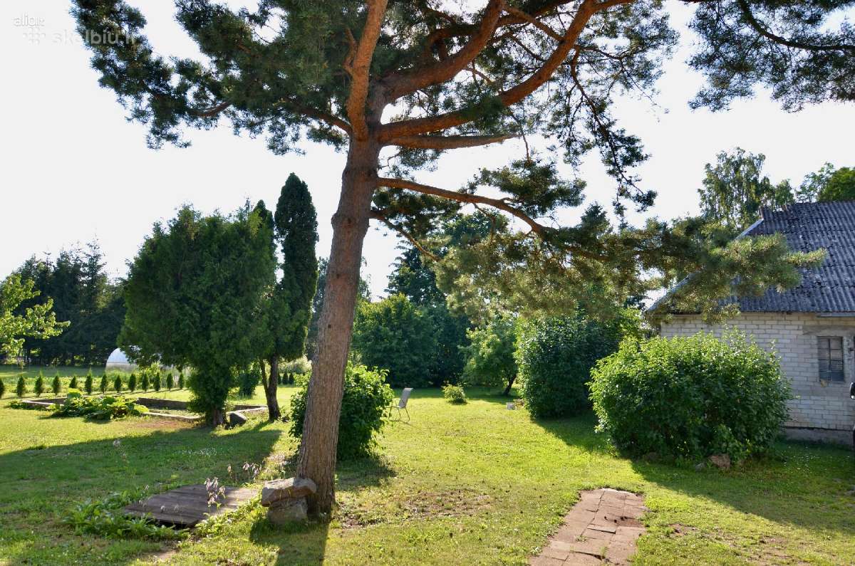 Gyvenamasis namas Žemaičių Kalvarijos miestelyje - nuotraukos Nr. 13