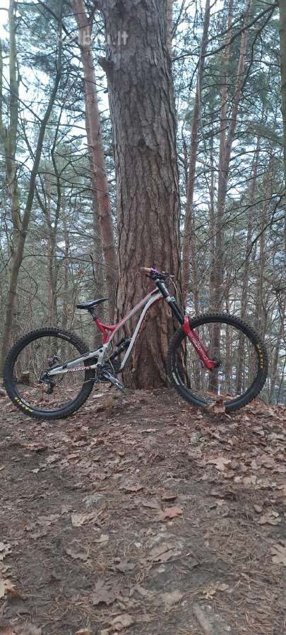 Commencal suprem v4 MTB dviratis downhill