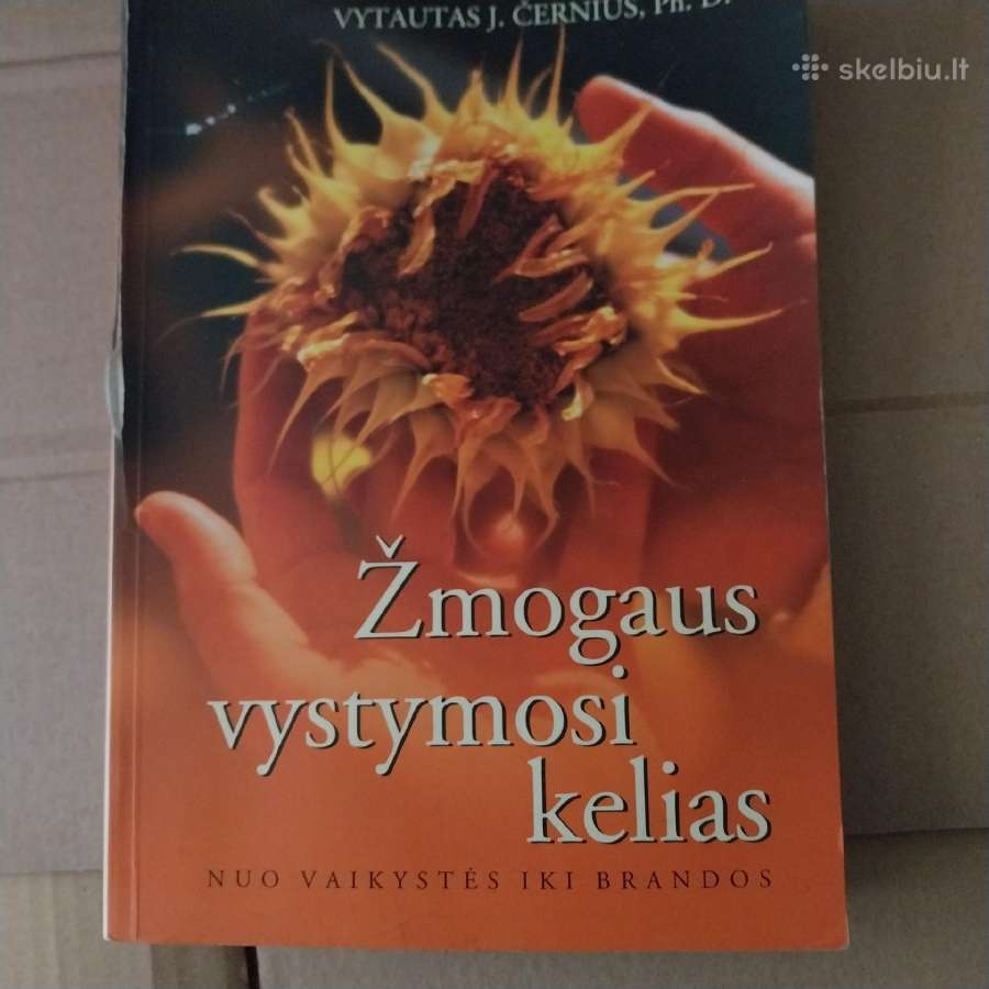 Knyga