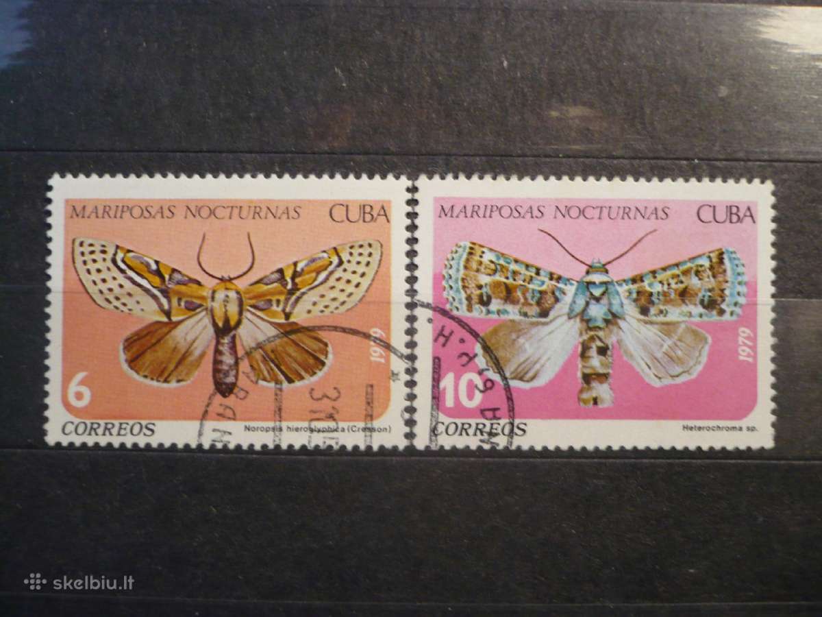 1979 m. Kubos naktiniai drugeliai