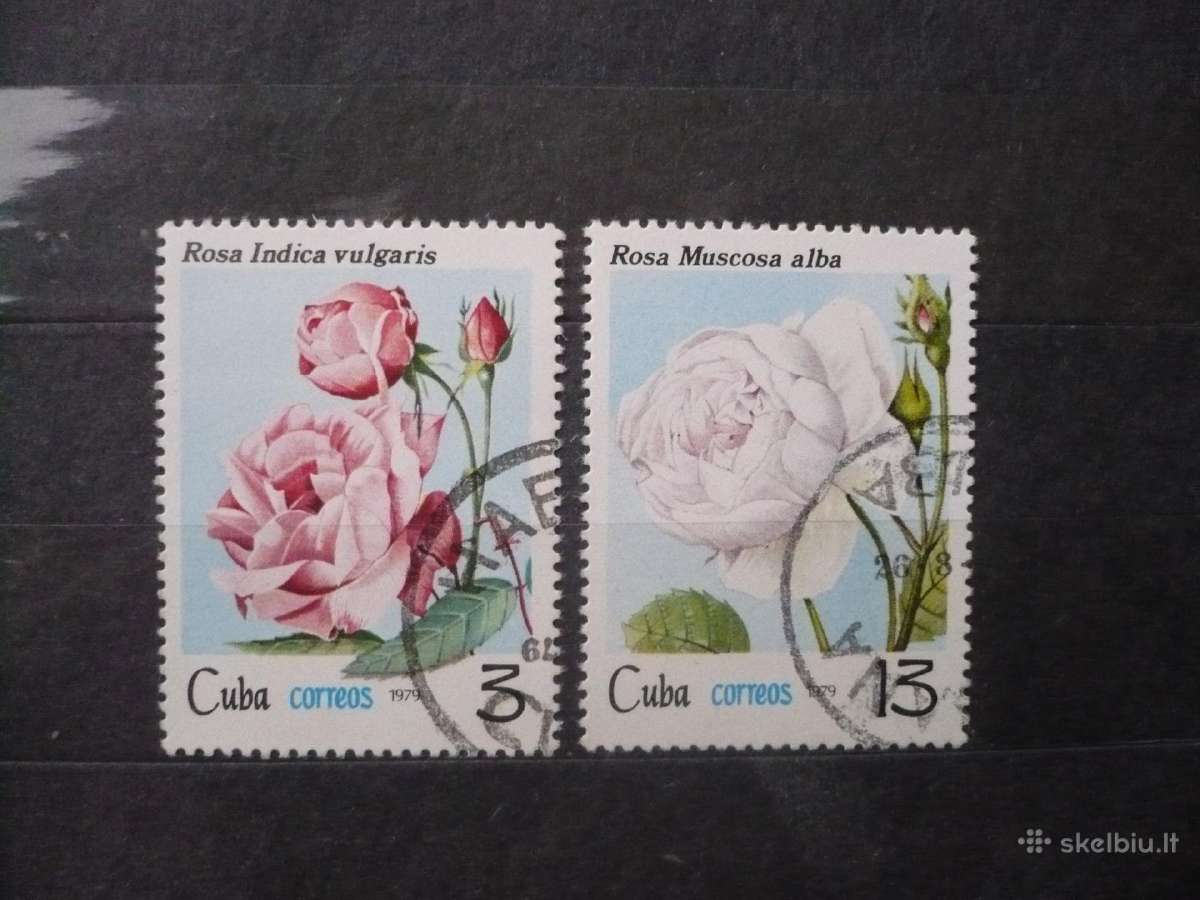 1979 m. rožės
