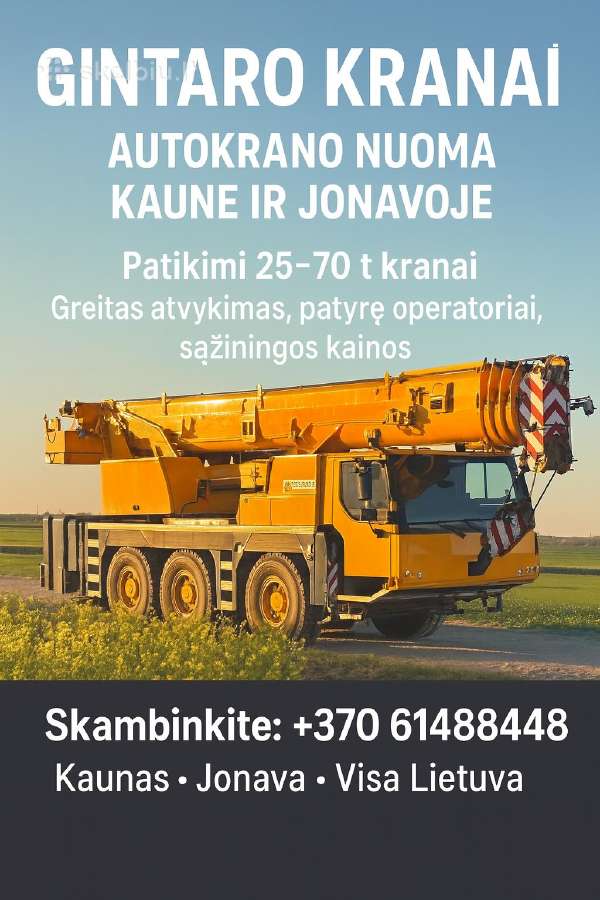 Autokranas ,kranų nuoma,autokrano nuoma - nuotraukos Nr. 5