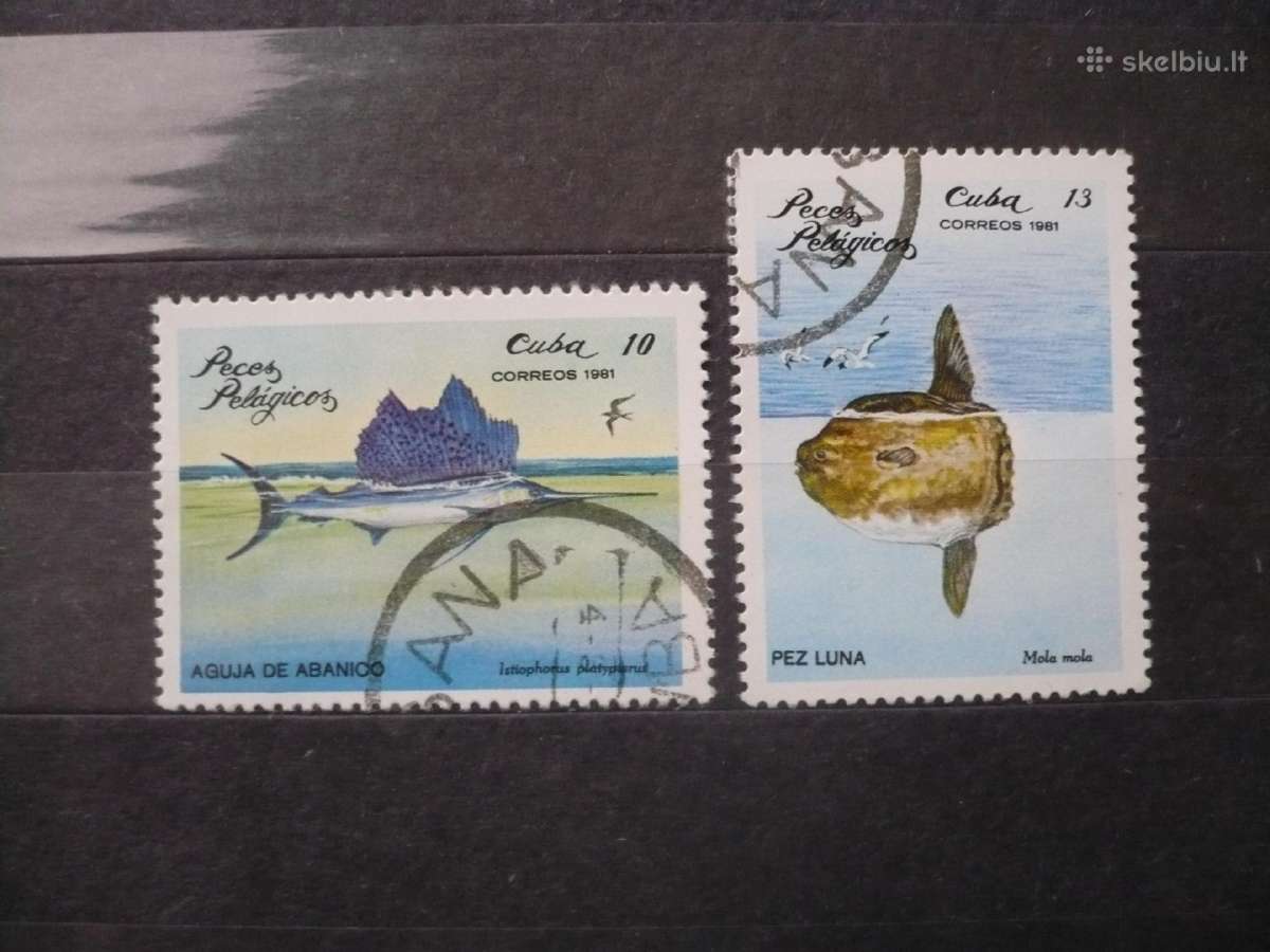 1981 m. Žuvis