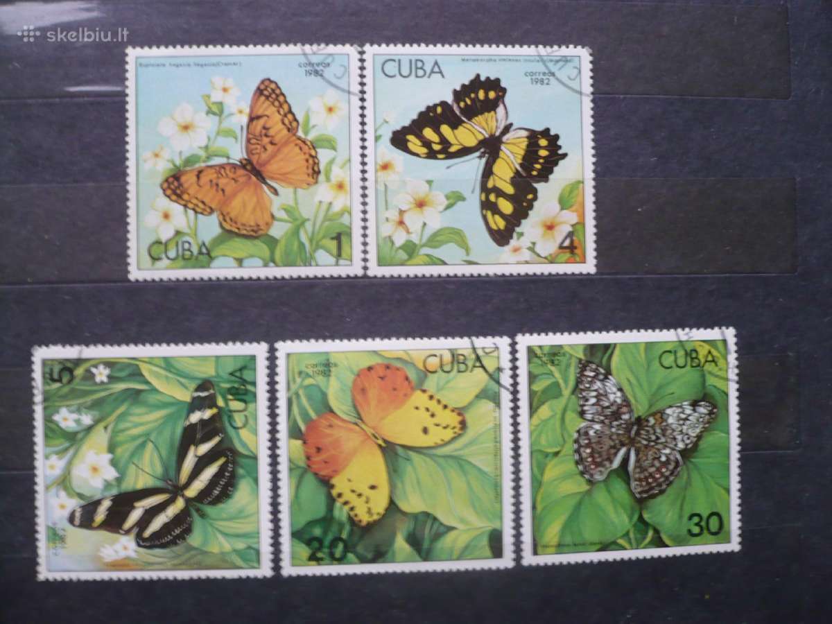 1982 m. Drugeliai