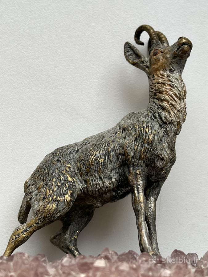Oziaragis Vienos Bronza Zalvaris - nuotraukos Nr. 4