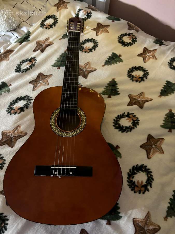 Klasikinė gitara su dėklu