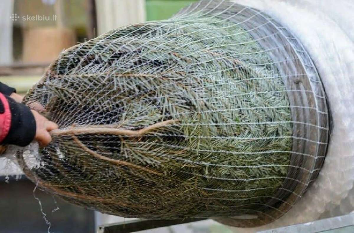 Eglučių pakavimo tinklas 45cm - nuotraukos Nr. 4