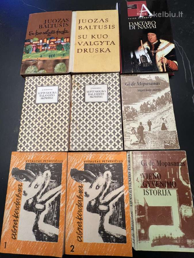Grožinė literatūra - nuotraukos Nr. 2