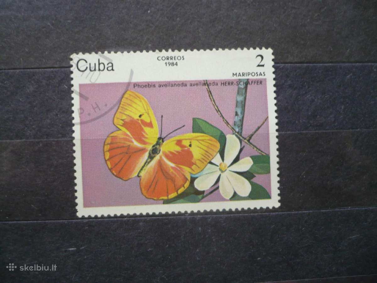 1984 m. Drugeliai