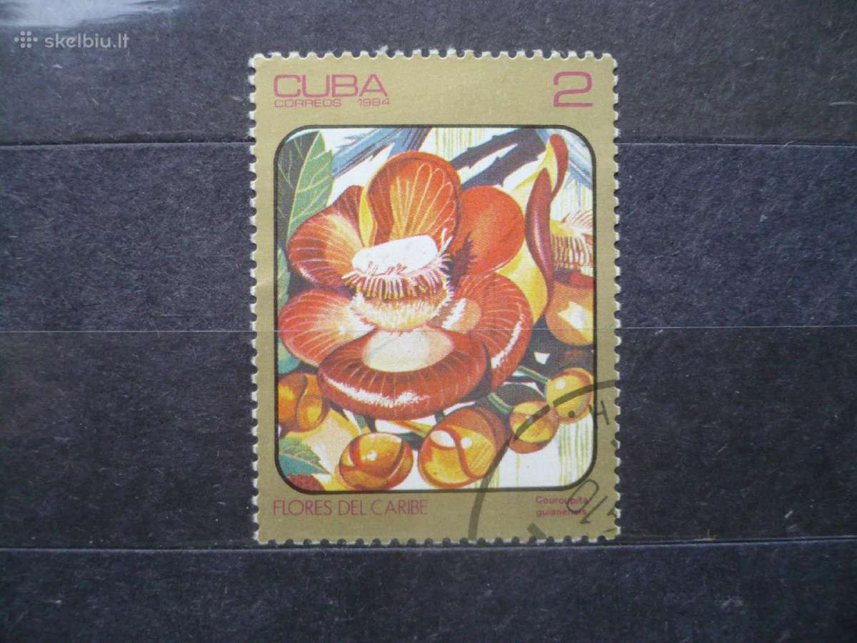 1984 m. Karibų gėlės