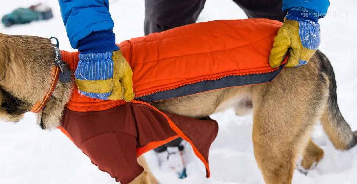 Striukė šuniui Ruffwear Powder Hound, S dydis - nuotraukos Nr. 2
