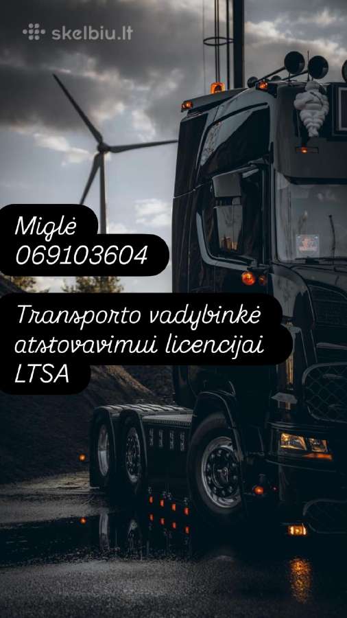 Transporto vadybininkas atstovavimui Ltsa