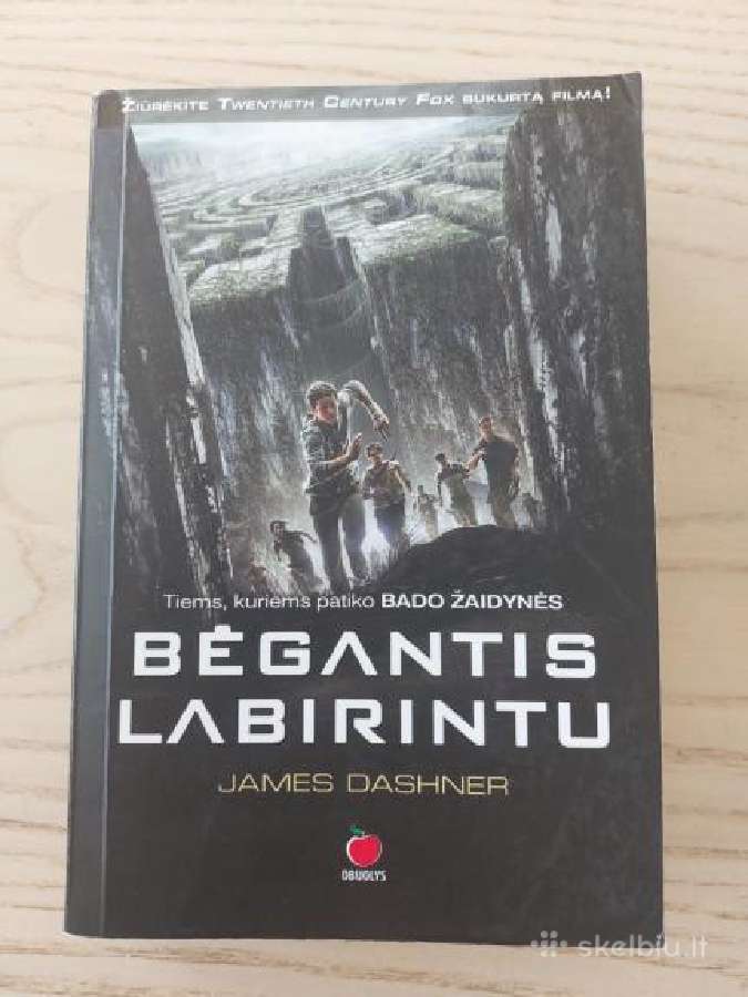 Bėgantis labirintu