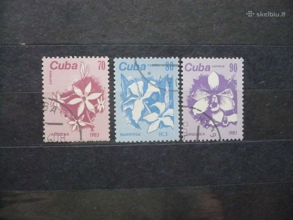 1983 m. gėlės