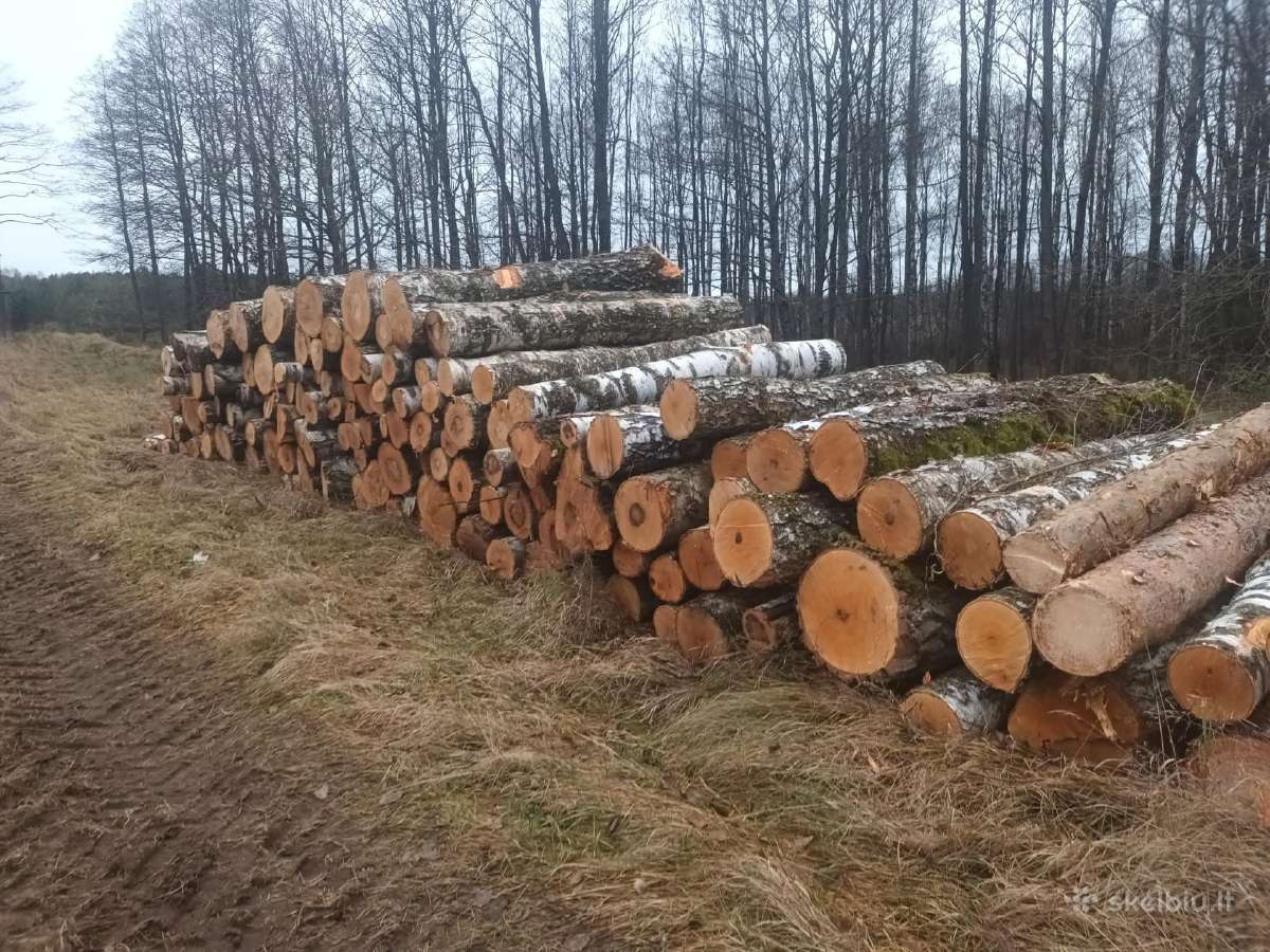 Perkame mišką, medžius, krūmus, biokurą - nuotraukos Nr. 2