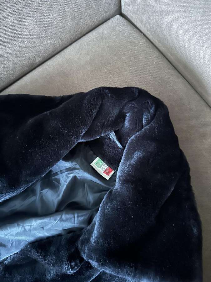 Teddy itališki kailinukai M/l dydis - nuotraukos Nr. 2