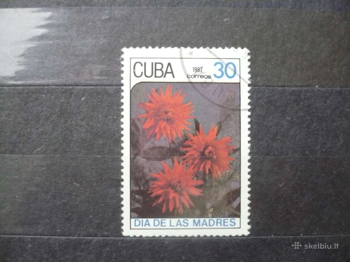 1987 m. Motinos diena – gėlės