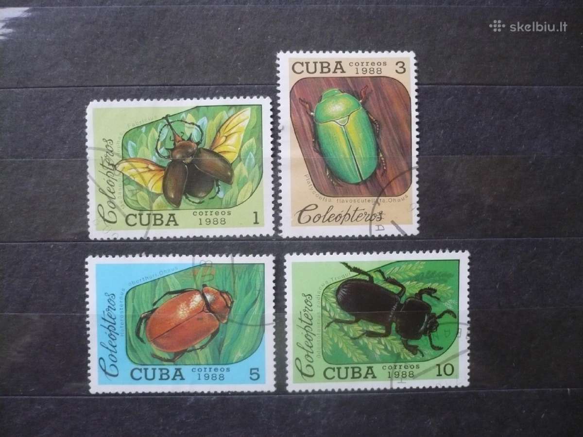 1988 m. Vabalai