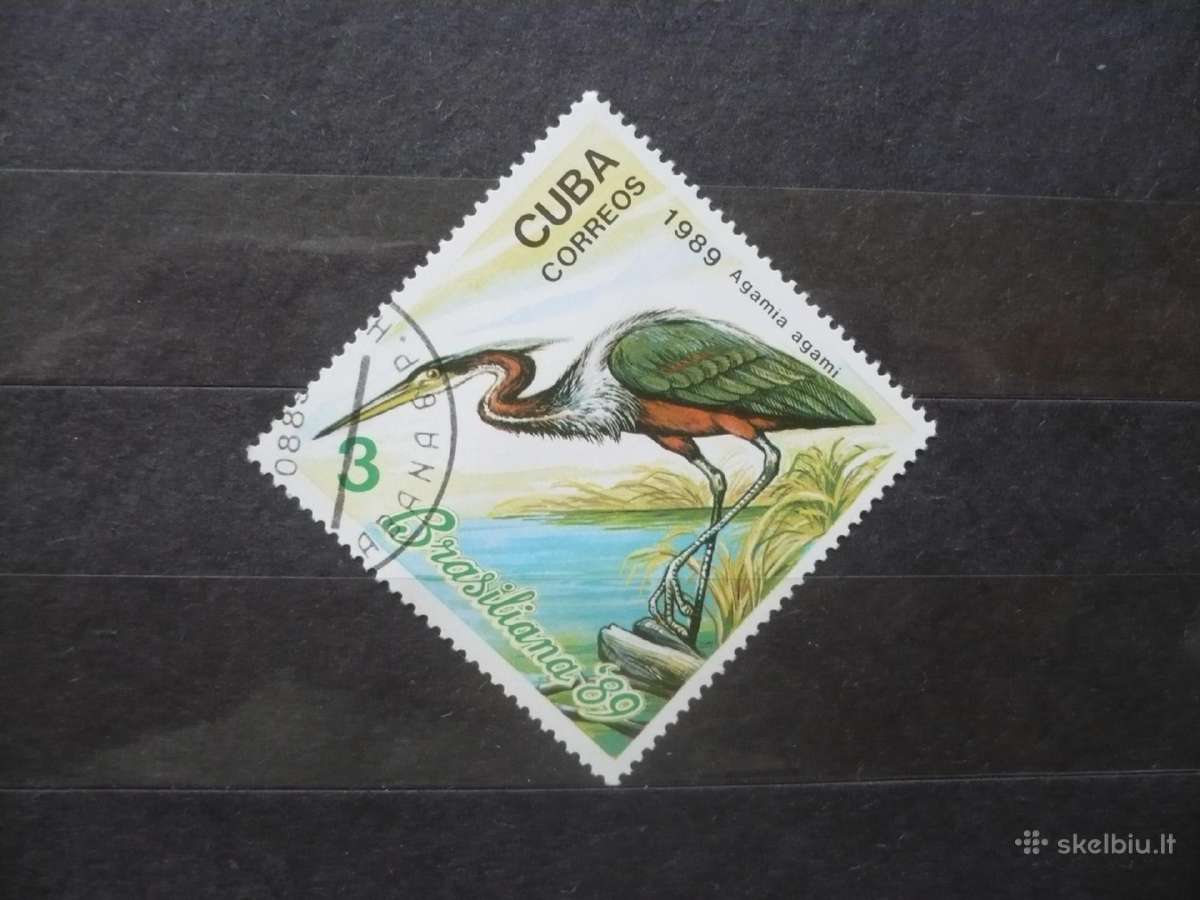 1989 "Brasiliana '89" pašto ženklų paroda.