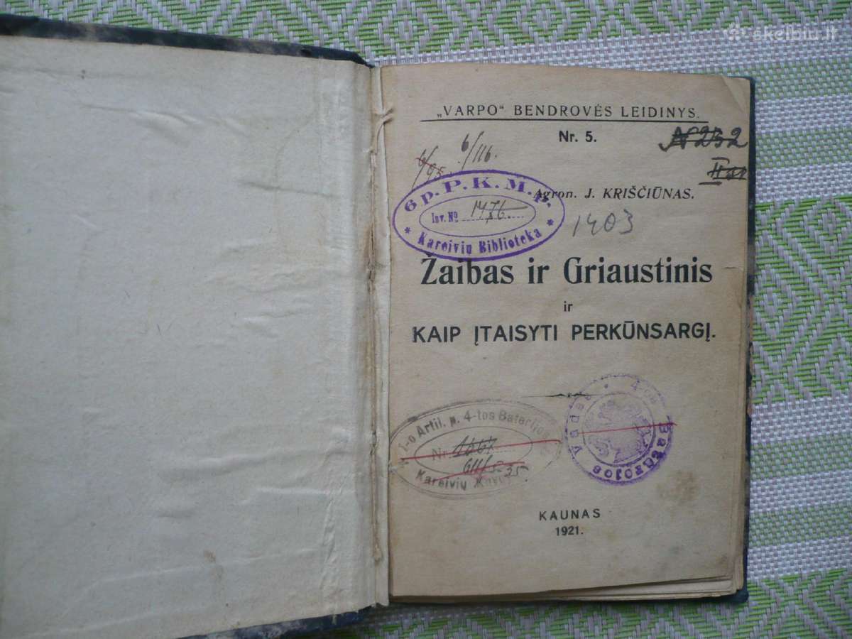 J. Kriščiūnas - Žaibas ir griaustinis 1921m - nuotraukos Nr. 2
