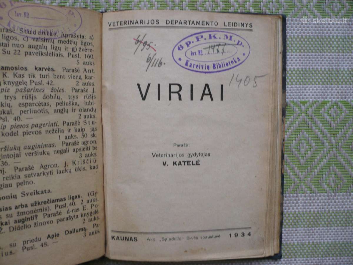 J. Kriščiūnas - Žaibas ir griaustinis 1921m - nuotraukos Nr. 3