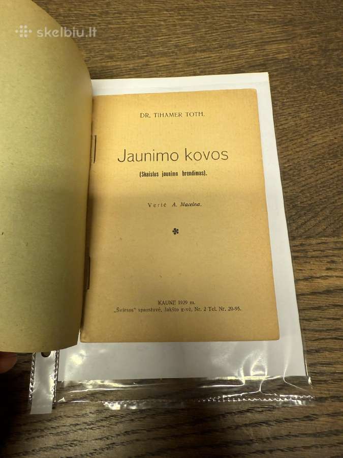 Jaunimo kovos 1929 m. - nuotraukos Nr. 2