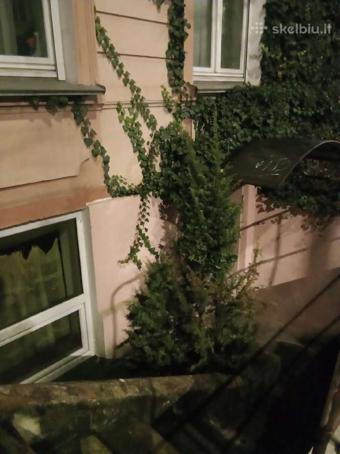 Butas Naujamiestyje pusrūsyje - nuotraukos Nr. 2