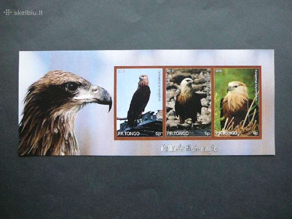Ereliai Pauksciai Tonga 2010 Mnh tn013