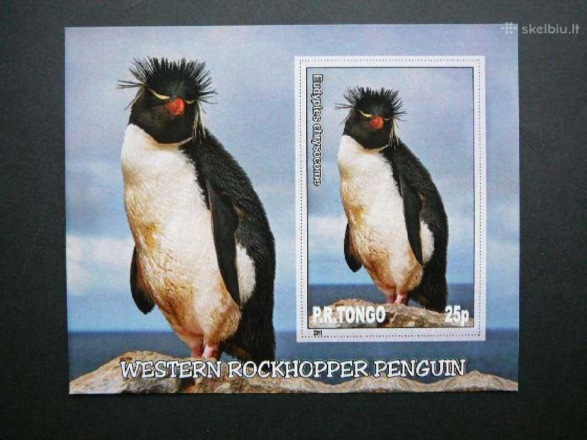 Pingvinai Pauksciai Tonga 2011 Mnh tn021