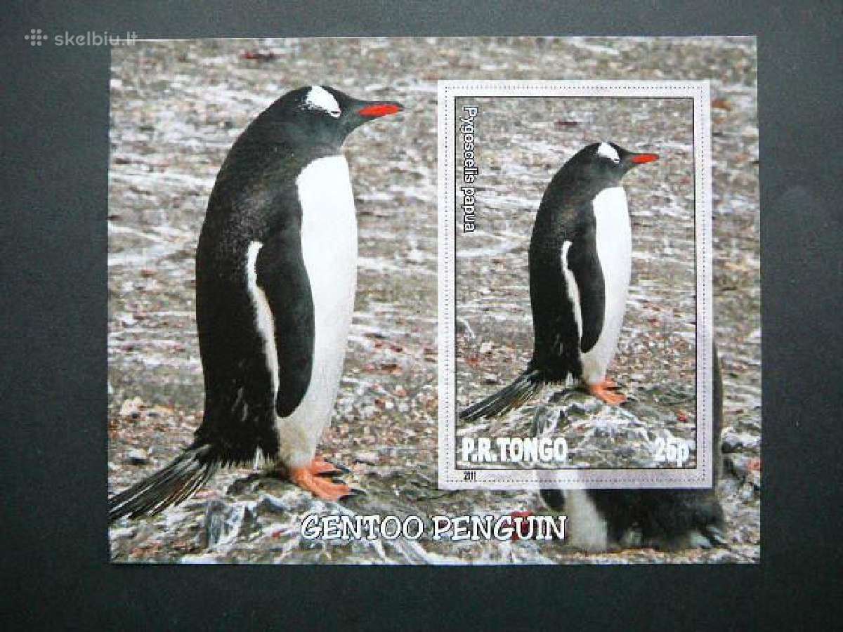 Pingvinai Pauksciai Tonga 2011 Mnh tn022