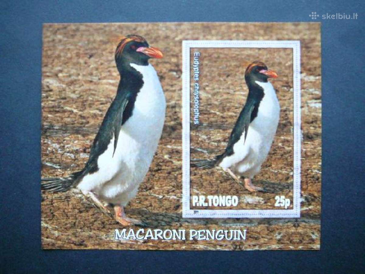 Pingvinai Pauksciai Tonga 2011 Mnh tn023