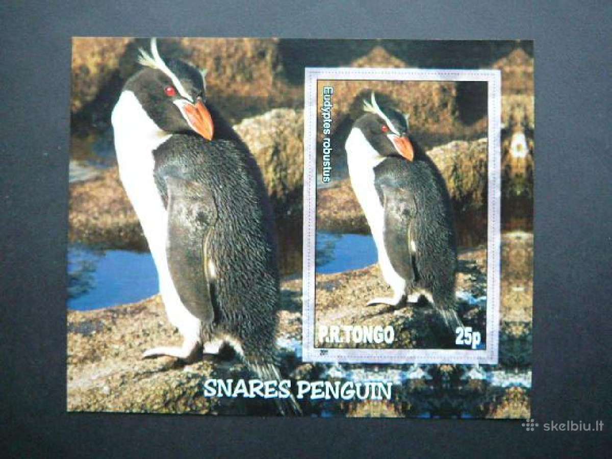 Pingvinai Pauksciai Tonga 2011 Mnh tn024