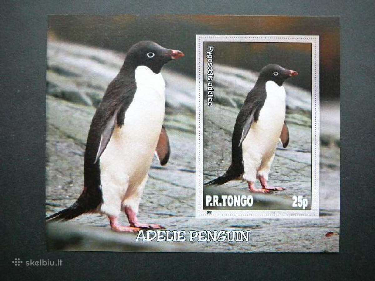 Pingvinai Pauksciai Tonga 2011 Mnh tn025
