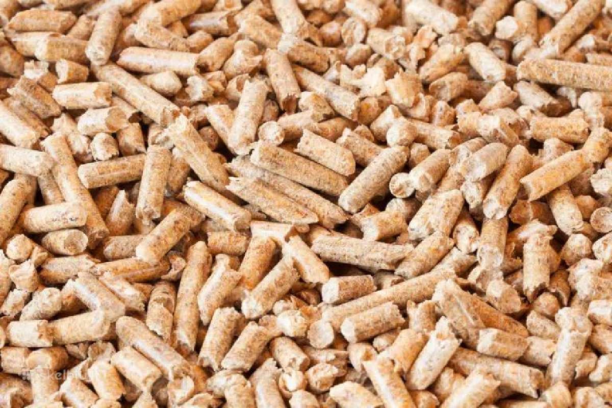 Anglys 500 eur, durpių briketai 350 eur - nuotraukos Nr. 15